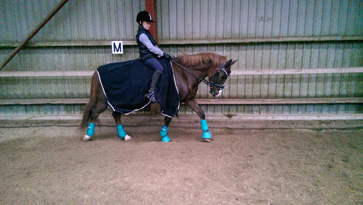 New Forest Koedijks Milano - Gamacher og hut i fødselsdagsgave. billede 5