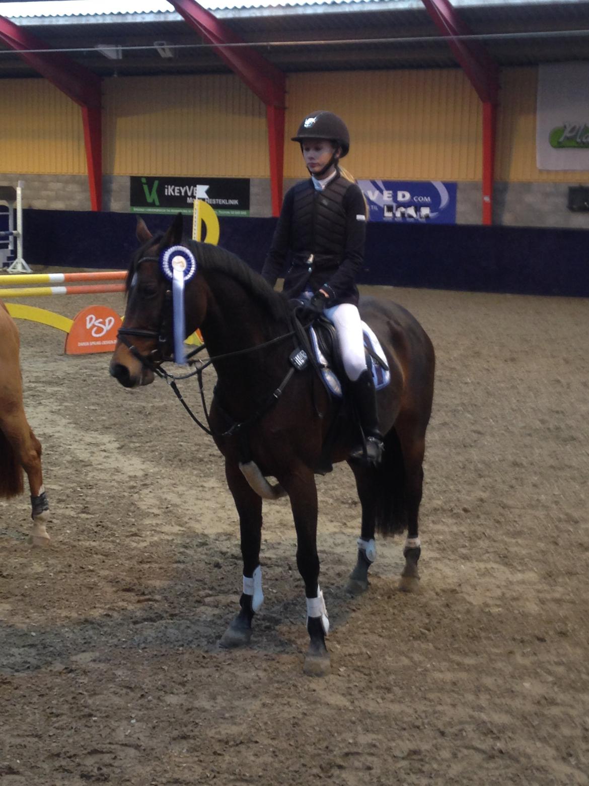 DSP Bæklunds Arquette - 2. plads LA landsstævne i HIS billede 9