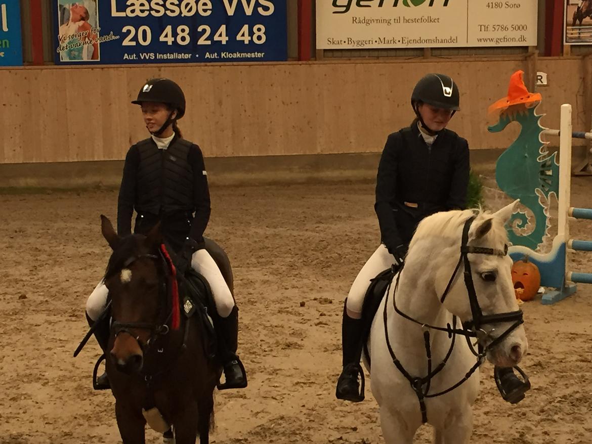 DSP Bæklunds Arquette - 1. plads MB i AAGS billede 16