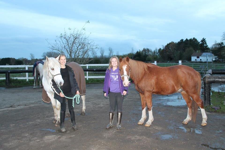 Anden særlig race Fireball VSR tidligere part - Riffer og Fede billede 3