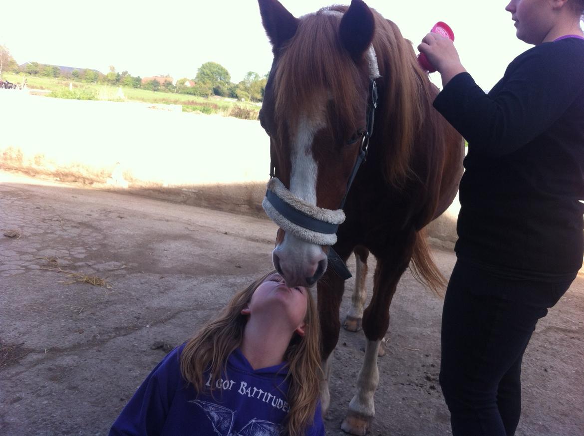 Anden særlig race Fireball VSR tidligere part - you are my sunshine billede 5