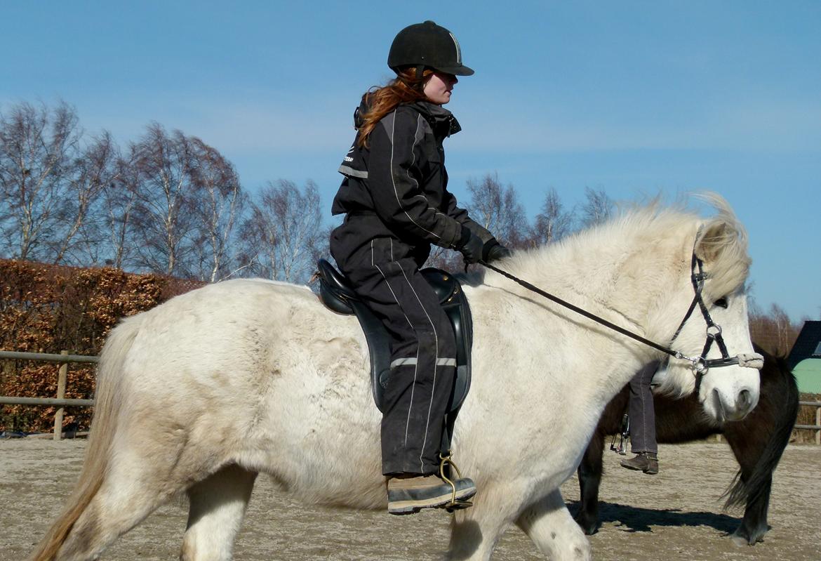 Islænder Áning Fra Fjalli. billede 2