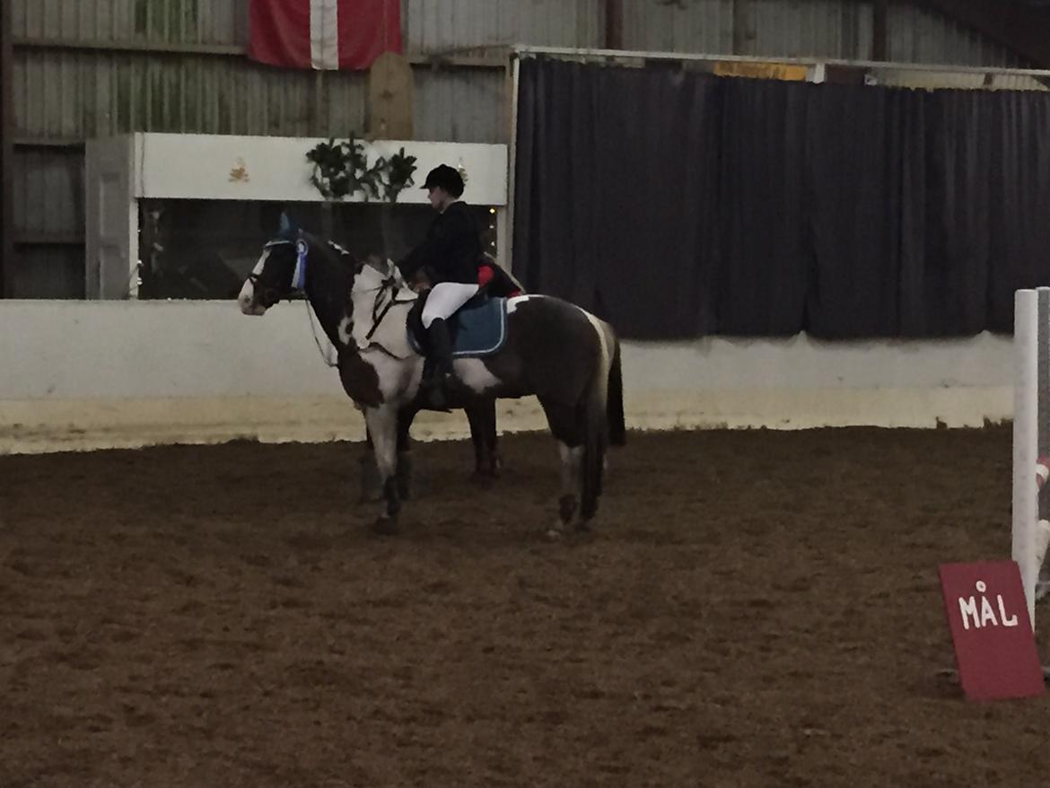 Pinto Crazy's Crash billede 13