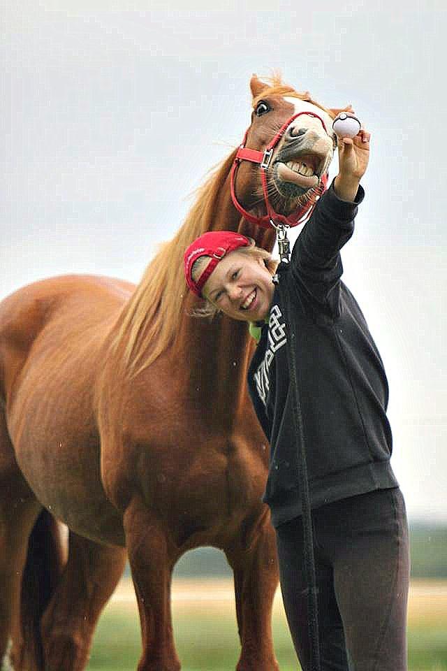 Palomino Argo Jøle - Der skal ikke meget til at glæde mig. Min hest er kilden. billede 16