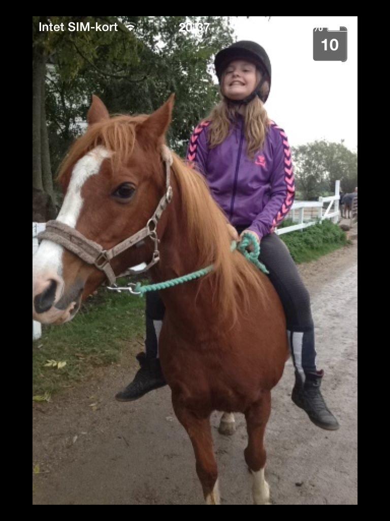 Anden særlig race Fireball VSR tidligere part - elsker dig basse billede 14