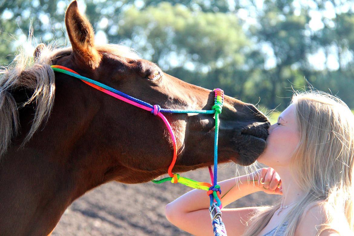 Anden særlig race Sasha billede 18