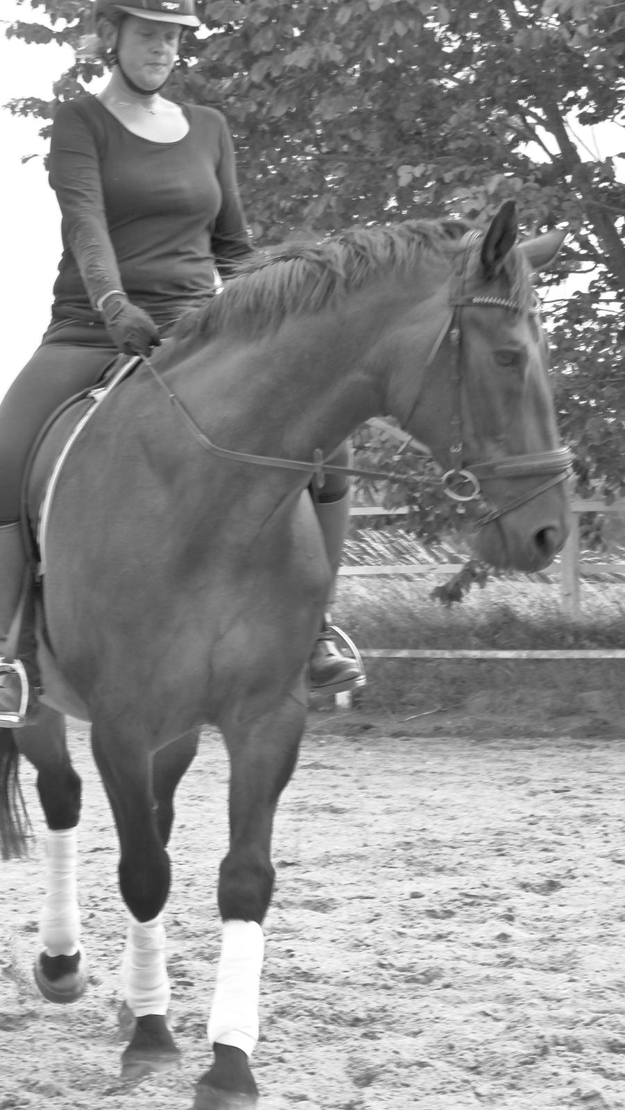 Oldenborg First-Mann af Hvarre billede 1