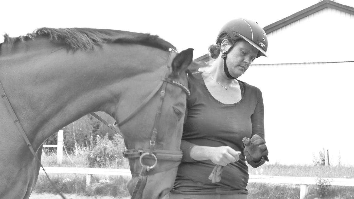 Oldenborg First-Mann af Hvarre - mors dreng billede 2