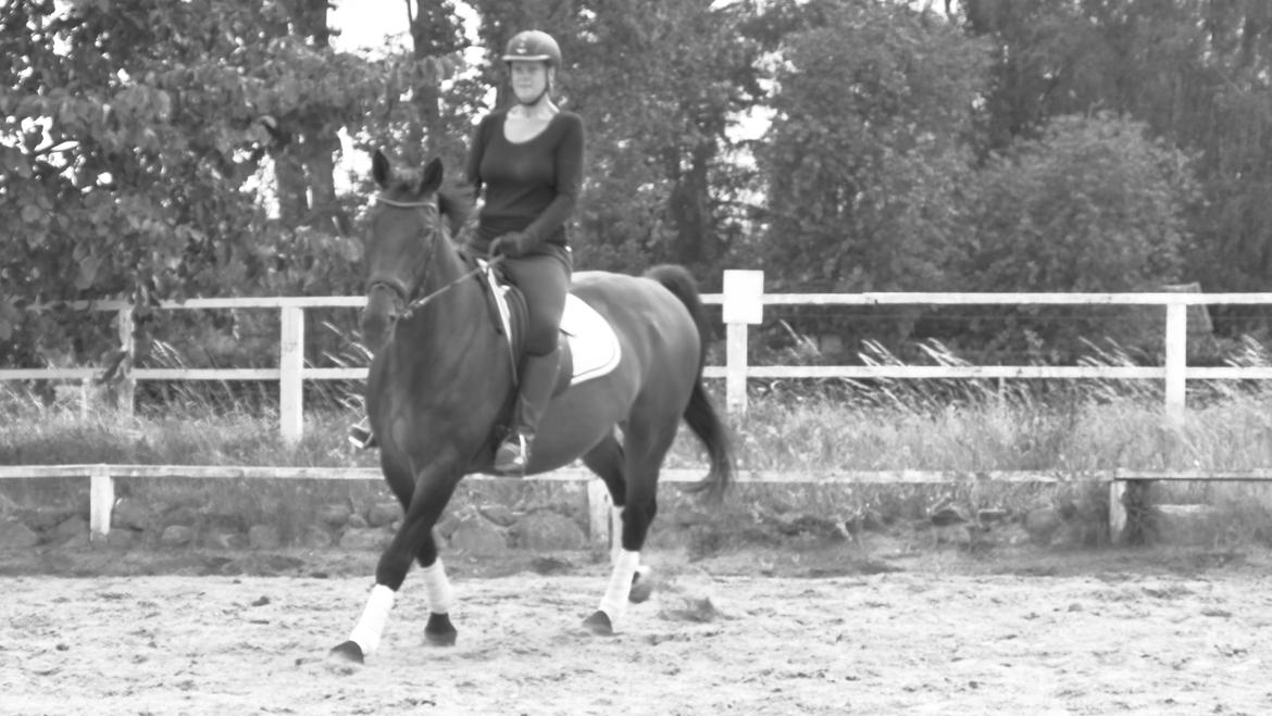 Oldenborg First-Mann af Hvarre billede 3