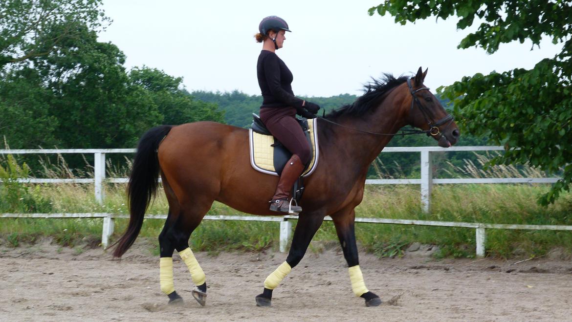 Oldenborg First-Mann af Hvarre billede 4