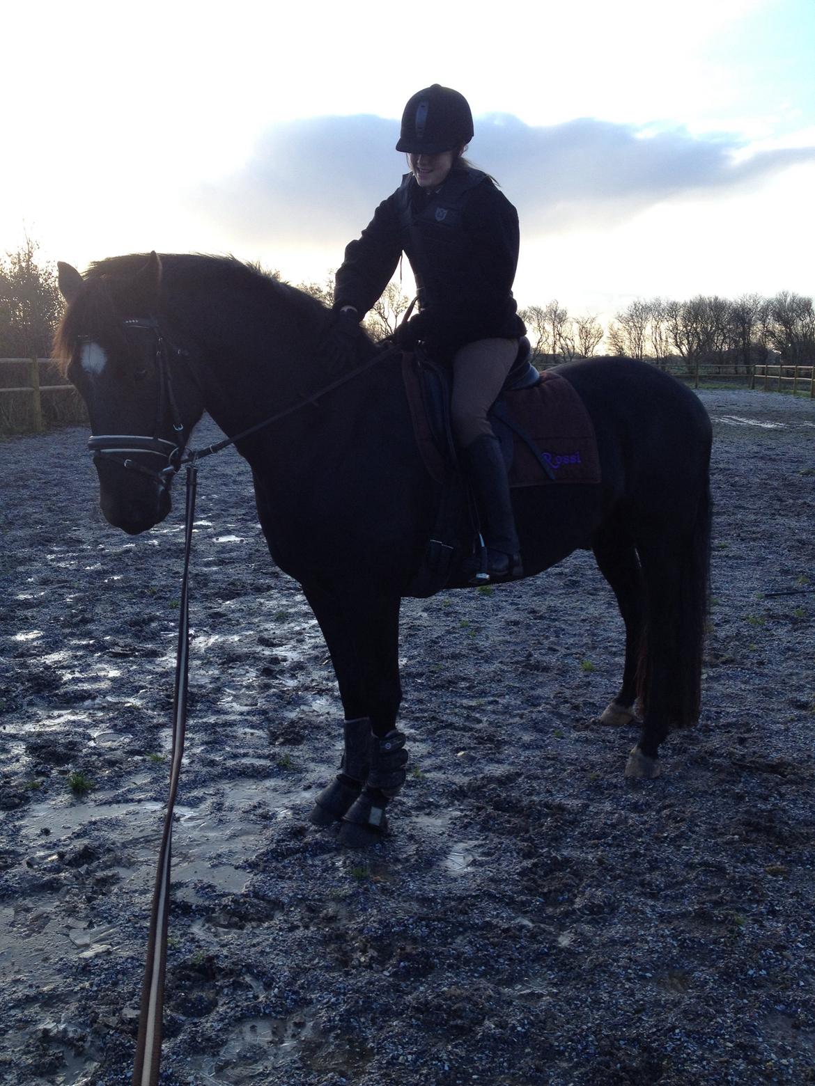 Anden særlig race jens billede 18