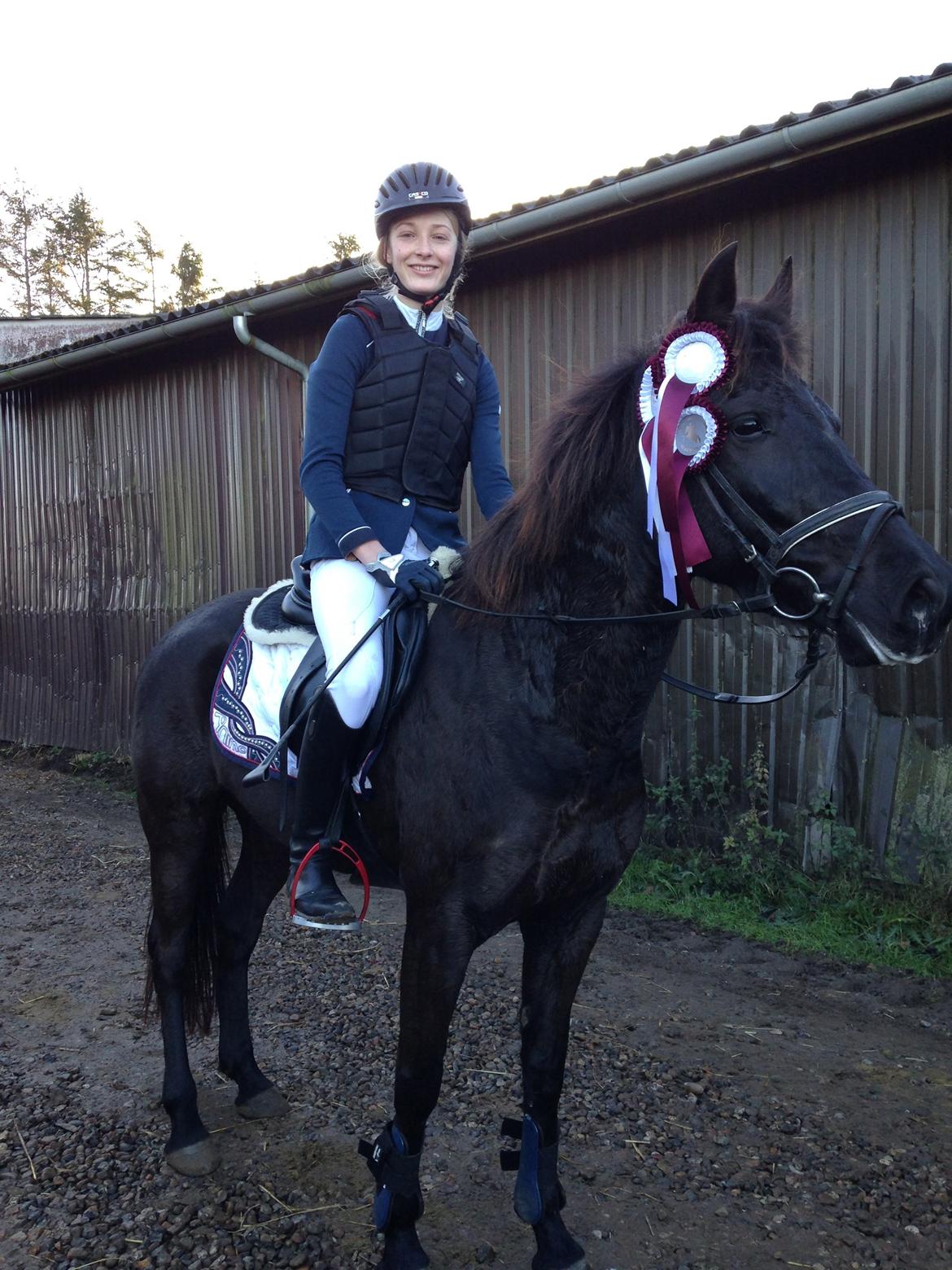 New Forest Egeballes Timian billede 4