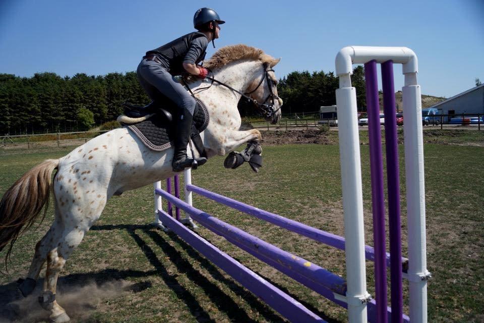 Knabstrupper Hidalgo | Stjerneponyen (tidl. part) billede 12