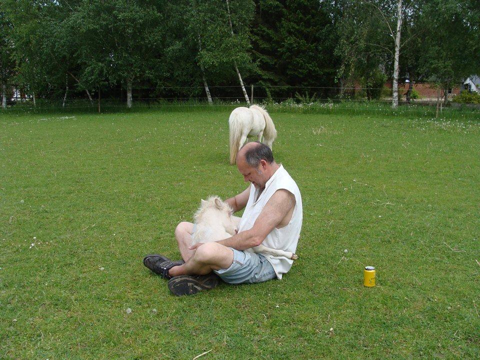 Amerikansk Miniature Paradise Ranch Inkys Pearl Jam - Som føl hos Pia og Kevin :D billede 5