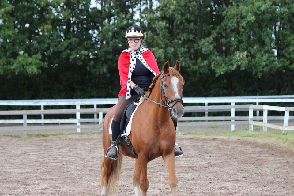 Frederiksborg Frederik - 2014 - part, til show hvor vi var Prins John og hans ædle ganger! :D billede 11