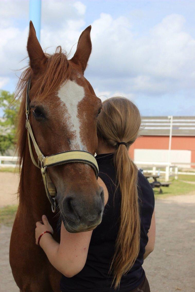 Frederiksborg Frederik - 2014 - Juni/august, part tiden :)  billede 14
