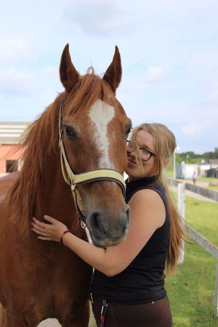 Frederiksborg Frederik - 2014 - Part :)  billede 17