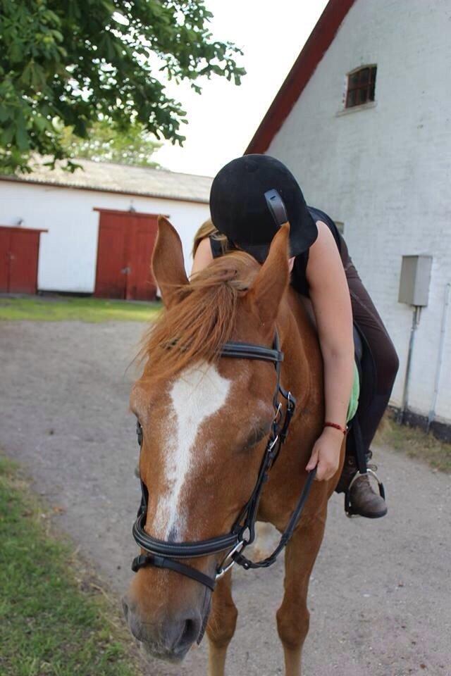 Frederiksborg Frederik - 2014 - part - Juni. Dejlig dag!  billede 12