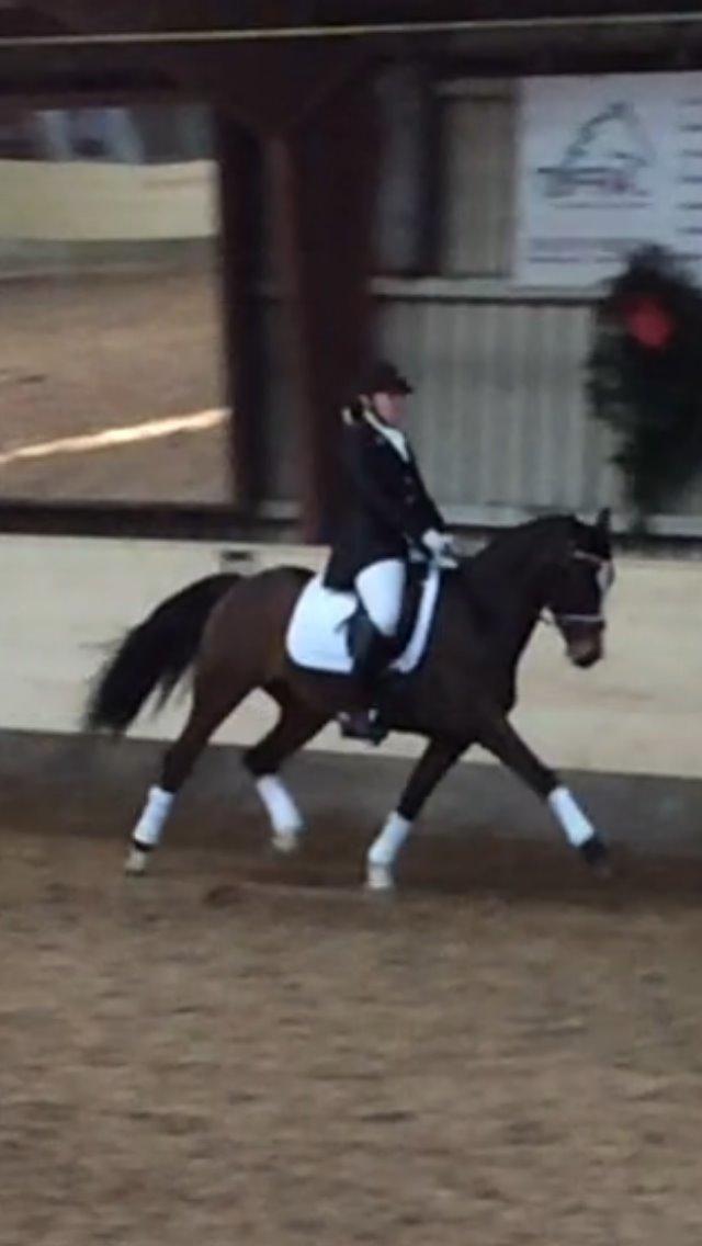 Hollandsk Sportspony Xantal-Jr. A / FEI-pony  - Æresrunden <3 billede 11