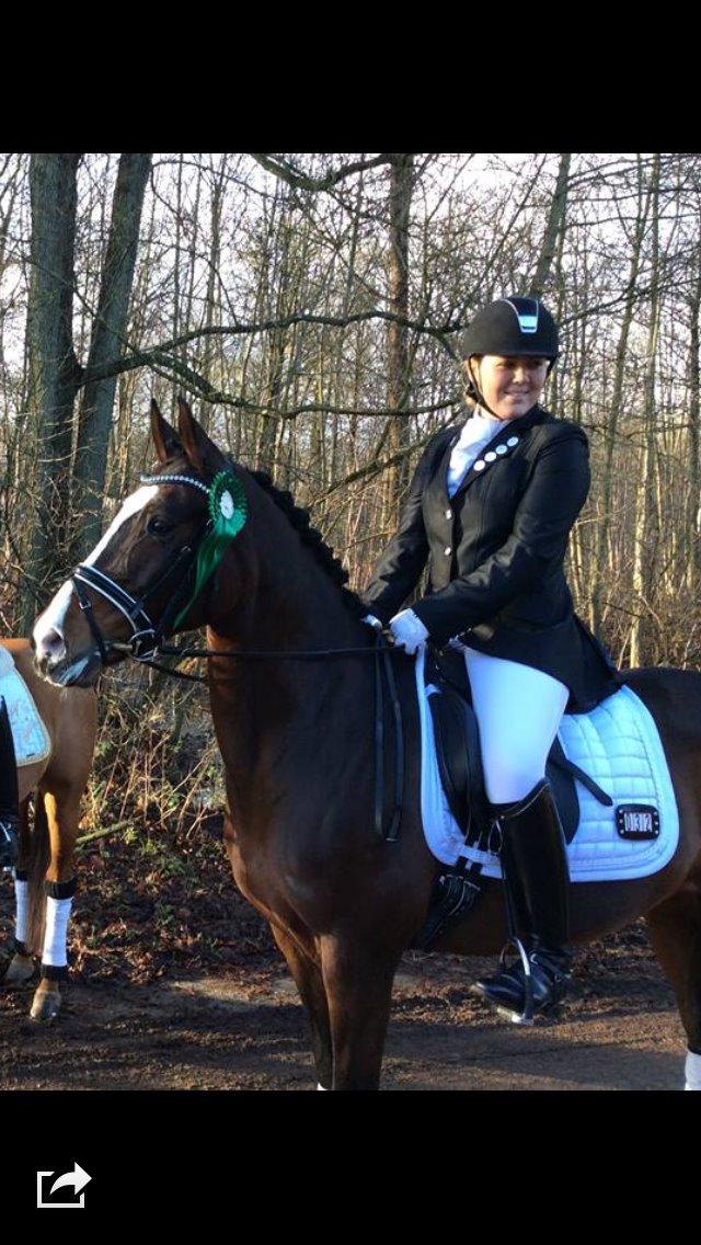 Hollandsk Sportspony Xantal-Jr. A / FEI-pony  - Nummer 4 til klubmestersbaket med 68% i LA3 <3 billede 8