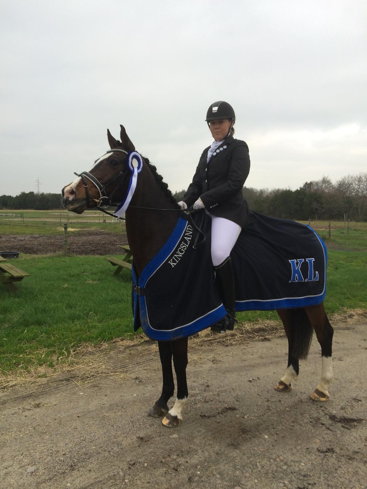 Hollandsk Sportspony Xantal-Jr. A / FEI-pony  - Nummer 2 i LA3 med 69% <3 billede 14