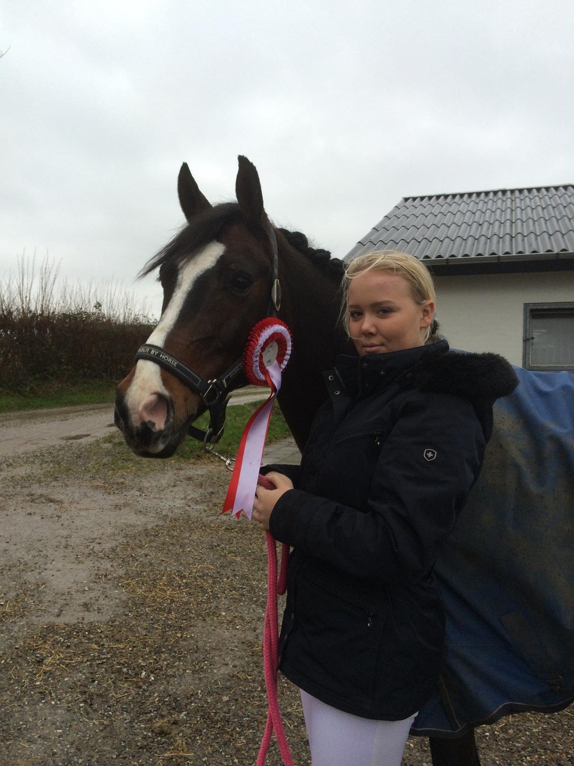 Hollandsk Sportspony Xantal-Jr. A / FEI-pony  - 1 plads i LA1 med 71,2% <3 billede 12