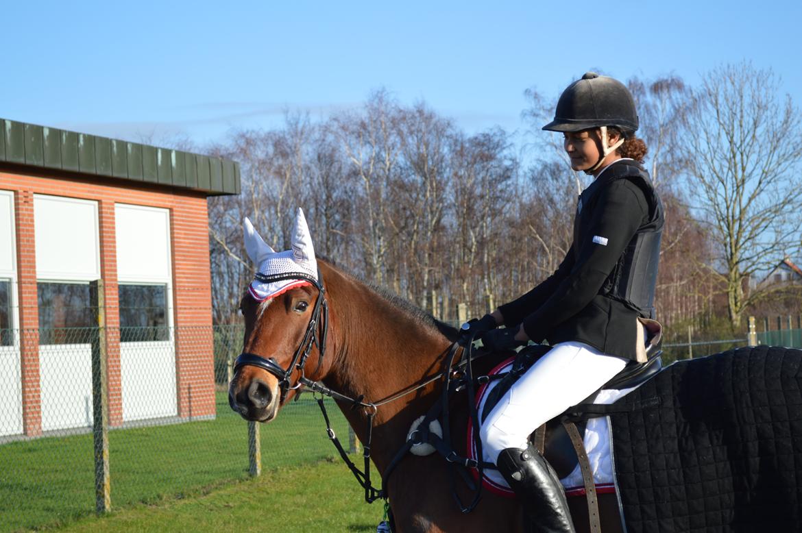 Pinto Symfoni Nyberg (Smølfen) billede 24