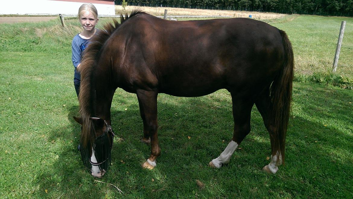 New Forest Koedijks Milano - En dejlig sommer dag. billede 13