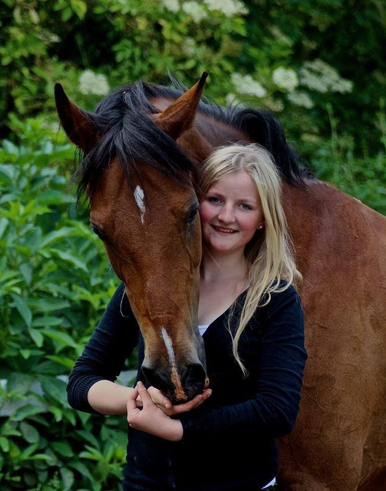 DSP Gefion Søblink  (Guffe) billede 14