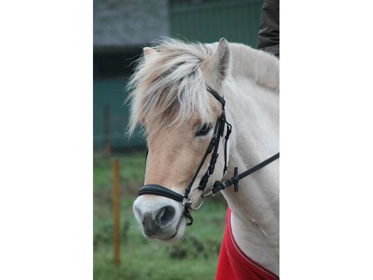 {{currentPhoto.altText}} billede {{currentPhoto.number}}