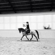 Anden særlig race Ras