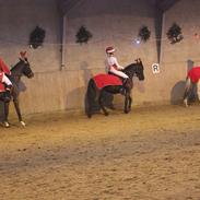 Anden særlig race Chanel Porsbøl