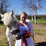 Anden særlig race Cleopratra (Cleo) (RIP)