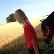 Anden særlig race Magnus