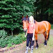 Anden særlig race Magnus