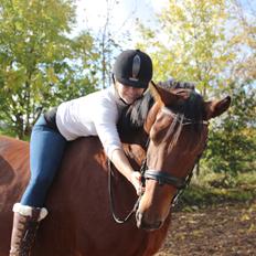 Anden særlig race Imagin Spot Morsbøl(Aflivet)