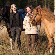 Islænder Neisti fra Munkhøj