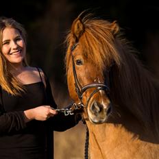 Islænder Neisti fra Munkhøj