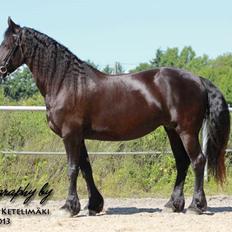 Frieser Belle fleur fra frieserstalden