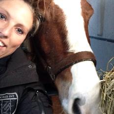 DSP Guldborggaard Remir