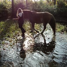 Anden særlig race Min part Pakko(-:
