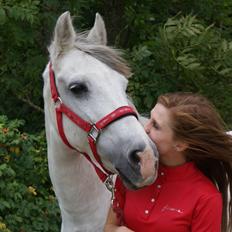 Anden særlig race Cæsar