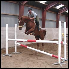 Anden særlig race Purples Red April