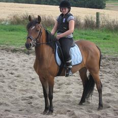 Anden særlig race Lola