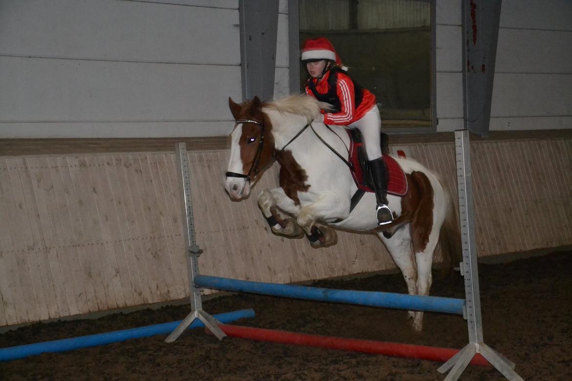 Anden særlig race Eldorado - Juleshow d. 30. Nov. - Højdespring billede 2