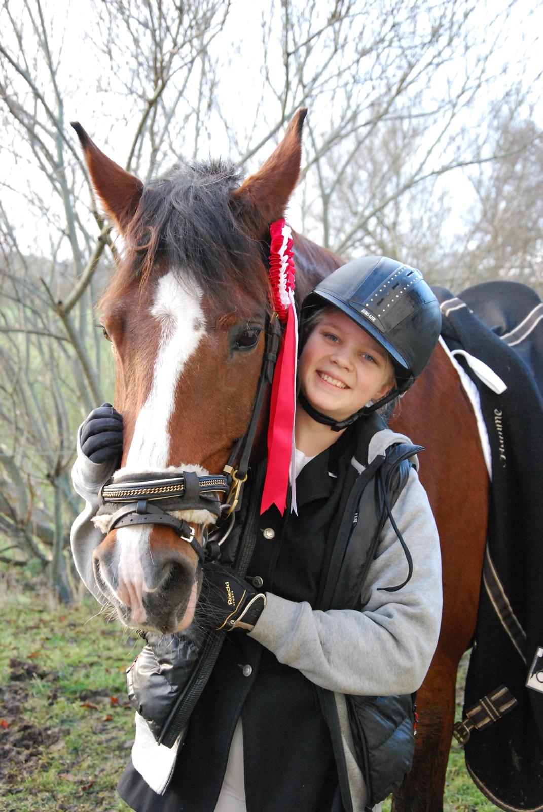 Anden særlig race Flamme *Tidl. part* (Rideskole hest) billede 10