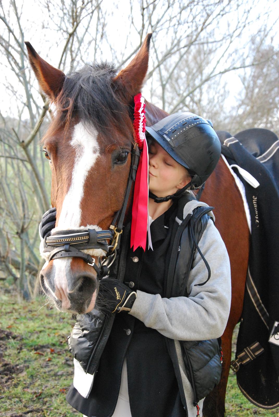 Anden særlig race Flamme *Tidl. part* (Rideskole hest) - Elsker ham <3 billede 9