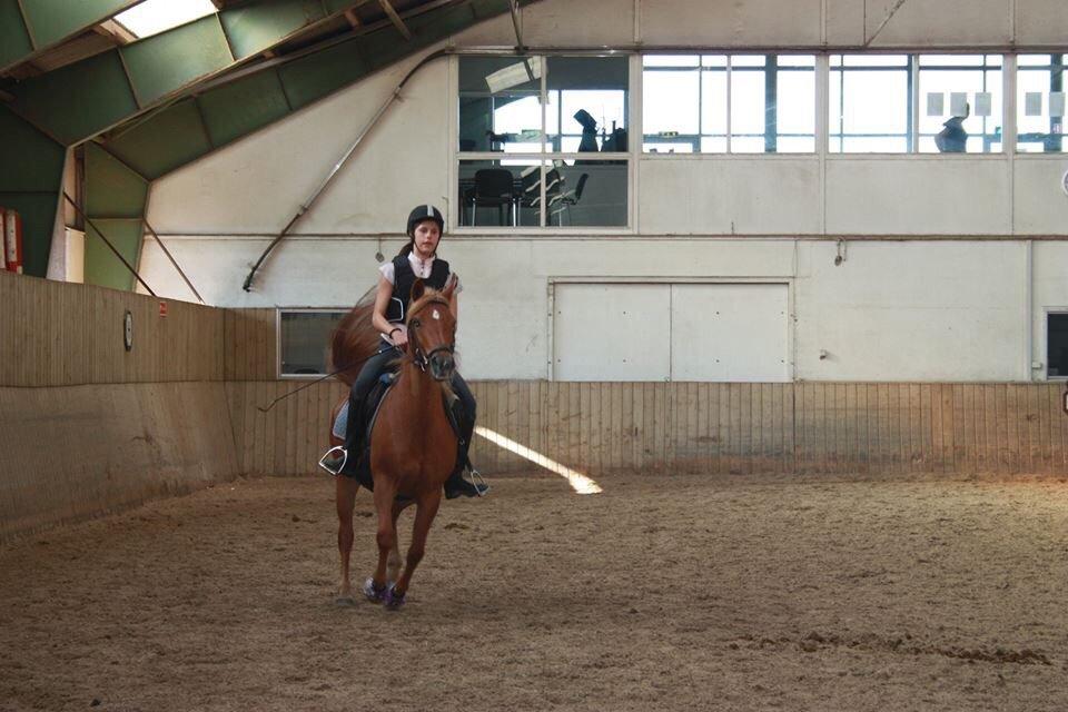 Anden særlig race Isadora billede 2