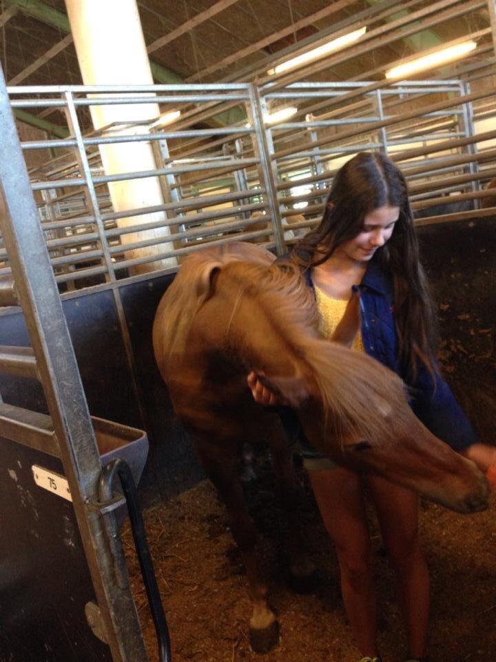 Anden særlig race Isadora billede 9