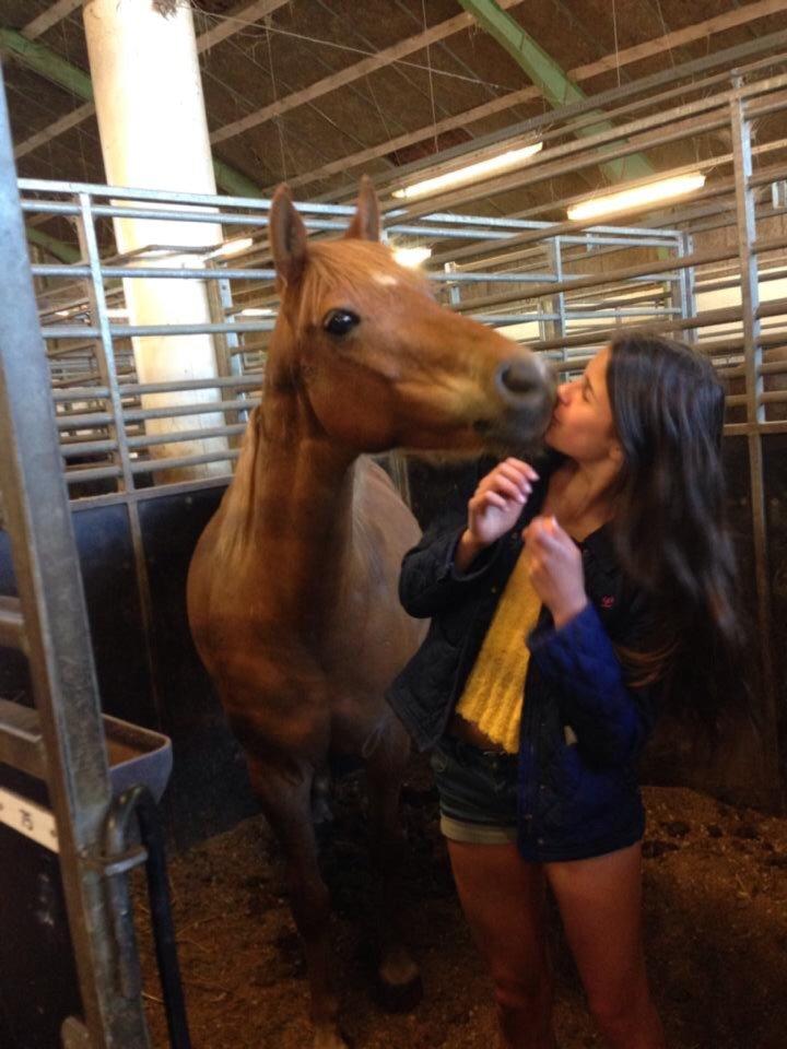 Anden særlig race Isadora billede 8